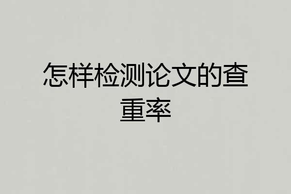 怎样检测论文的查重率