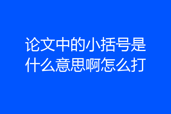 论文中的小括号是什么意思啊怎么打