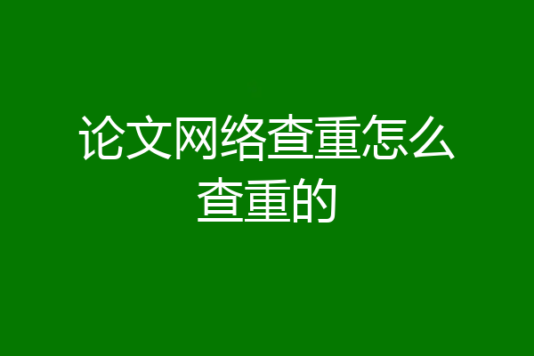 论文网络查重怎么查重的