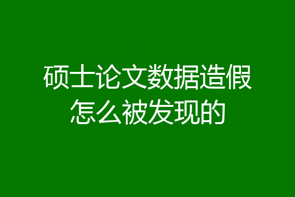 硕士论文数据造假怎么被发现的