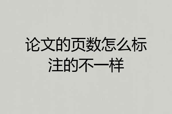 论文的页数怎么标注的不一样