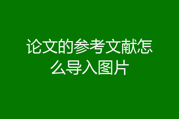 论文的参考文献怎么导入图片
