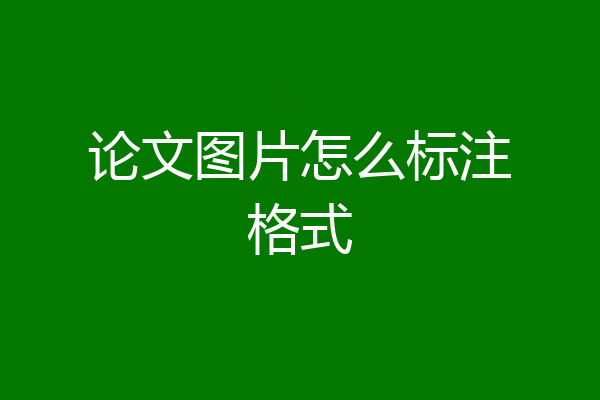 论文图片怎么标注格式