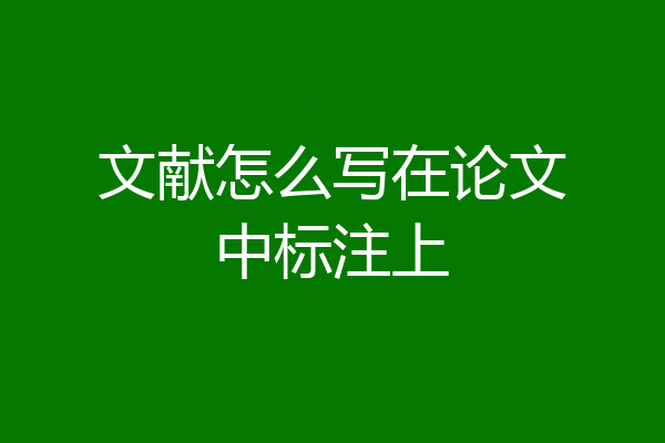 文献怎么写在论文中标注上
