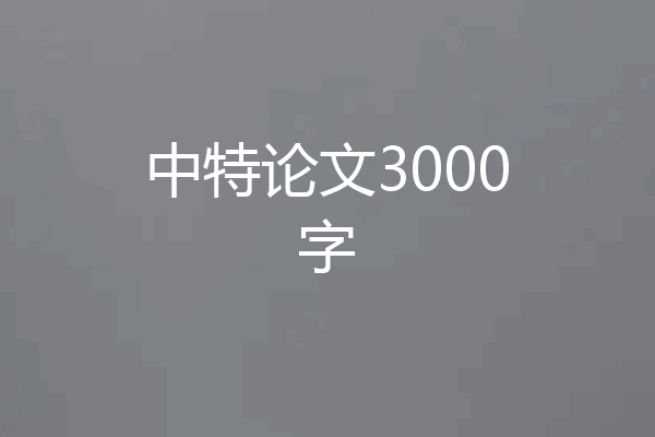中特论文3000字