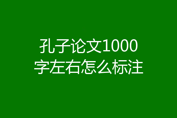 孔子论文1000字左右怎么标注