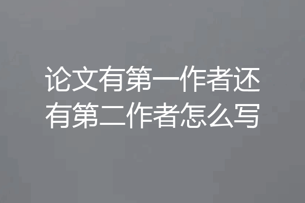 论文有第一作者还有第二作者怎么写