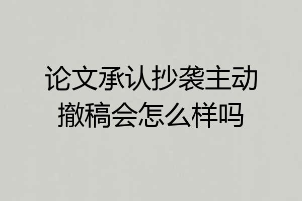 论文承认抄袭主动撤稿会怎么样吗