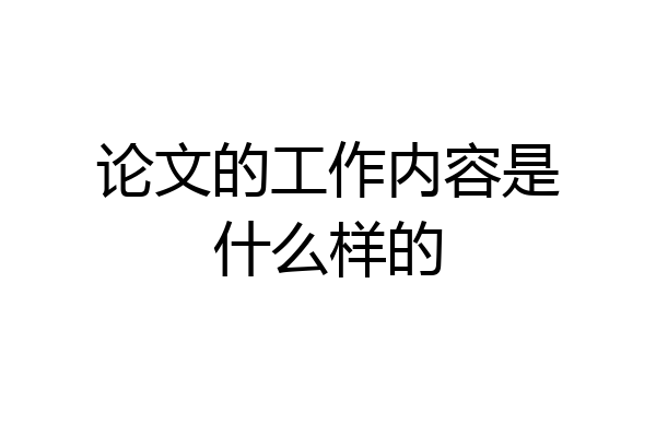 论文的工作内容是什么样的