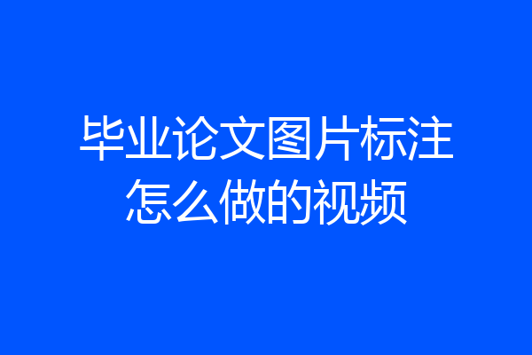 毕业论文图片标注怎么做的视频