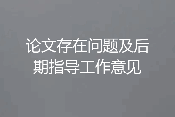 论文存在问题及后期指导工作意见