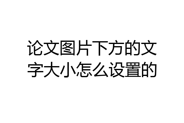 论文图片下方的文字大小怎么设置的