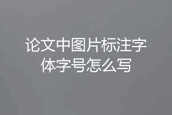 论文中图片标注字体字号怎么写