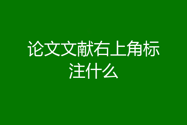 论文文献右上角标注什么