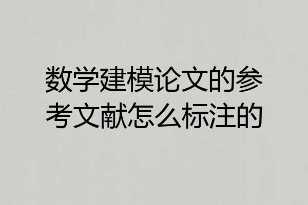 数学建模论文的参考文献怎么标注的