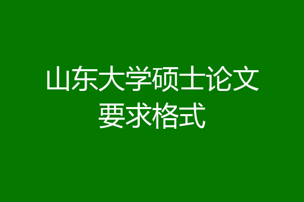 山东大学硕士论文要求格式