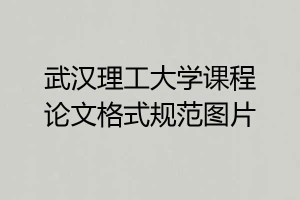 武汉理工大学课程论文格式规范图片