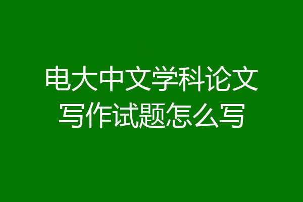 电大中文学科论文写作试题怎么写