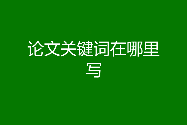 论文关键词在哪里写