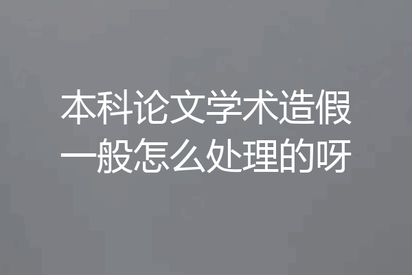 本科论文学术造假一般怎么处理的呀