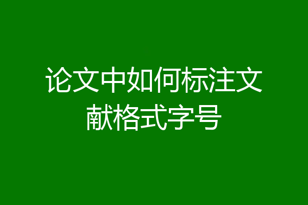 论文中如何标注文献格式字号