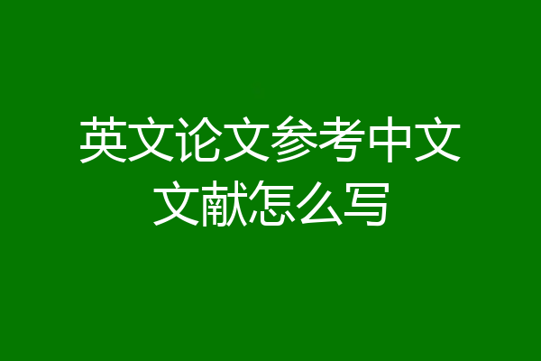 英文论文参考中文文献怎么写
