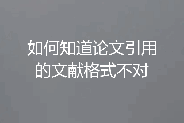 如何知道论文引用的文献格式不对