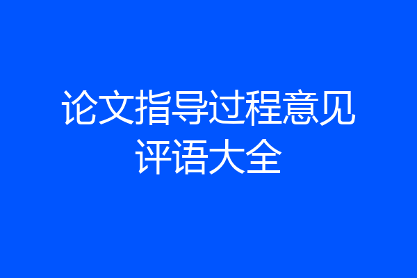 论文指导过程意见评语大全