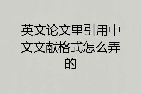 英文论文里引用中文文献格式怎么弄的