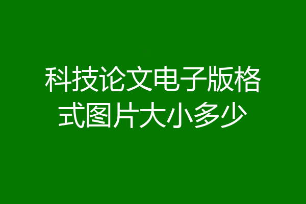 科技论文电子版格式图片大小多少