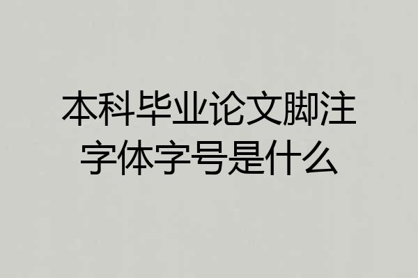 本科毕业论文脚注字体字号是什么