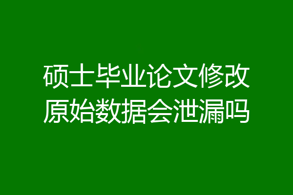 硕士毕业论文修改原始数据会泄漏吗