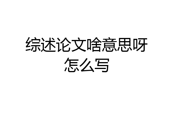 综述论文啥意思呀怎么写