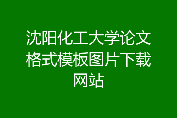 沈阳化工大学论文格式模板图片下载网站