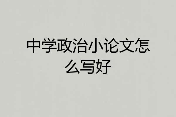中学政治小论文怎么写好