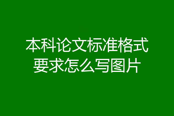 本科论文标准格式要求怎么写图片