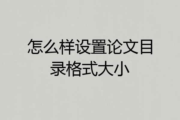 怎么样设置论文目录格式大小