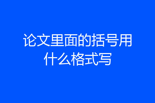 论文里面的括号用什么格式写