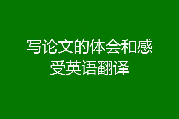 写论文的体会和感受英语翻译