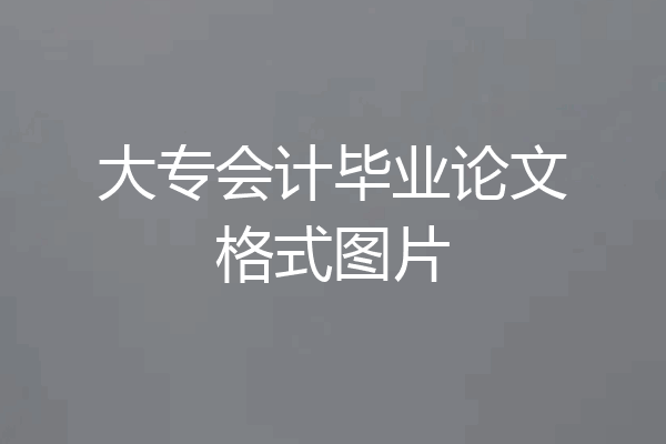 大专会计毕业论文格式图片