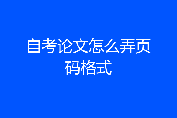 自考论文怎么弄页码格式