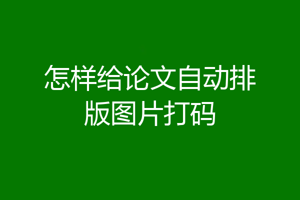 怎样给论文自动排版图片打码