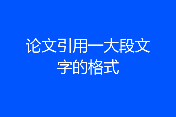 论文引用一大段文字的格式