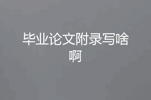 毕业论文附录写啥啊