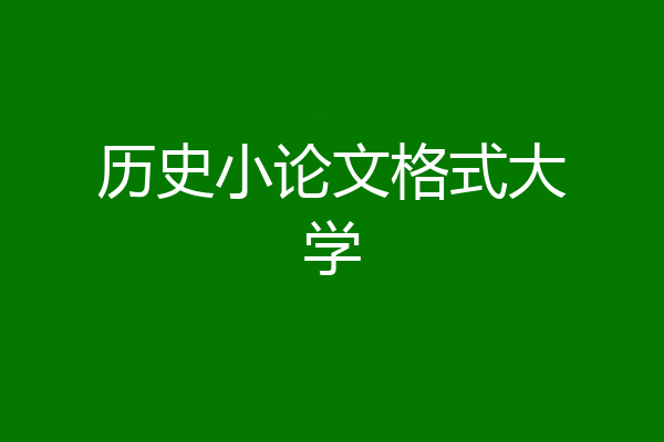 历史小论文格式大学