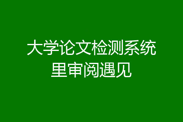 大学论文检测系统里审阅遇见