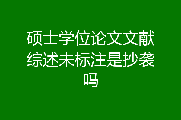 硕士学位论文文献综述未标注是抄袭吗
