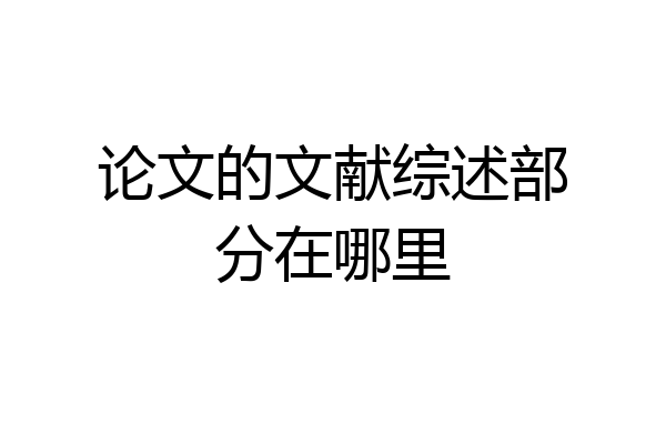 论文的文献综述部分在哪里