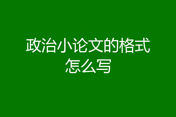 政治小论文的格式怎么写