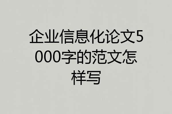 企业信息化论文5000字的范文怎样写